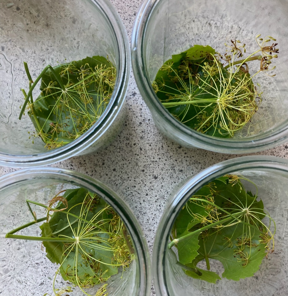 sylte krydderier fermenting spices