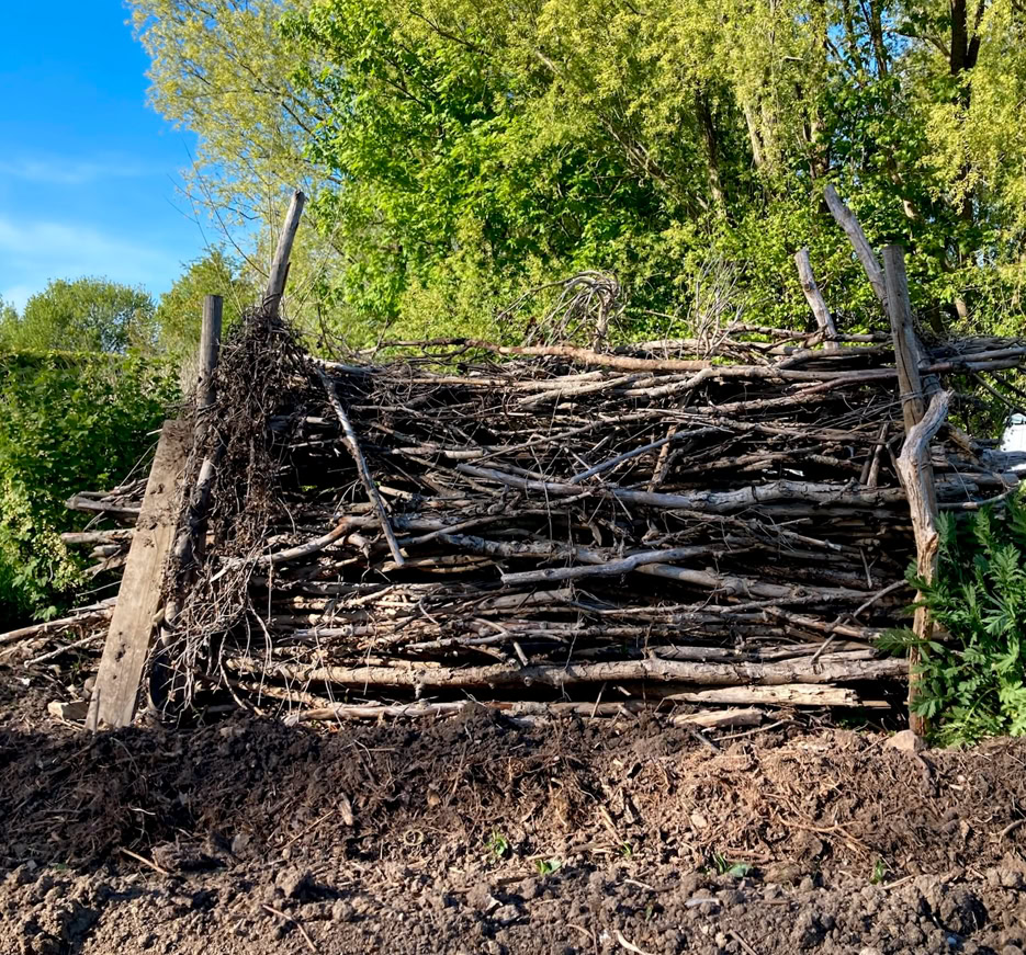 Organic potato rows - Ряди органічної картоплі