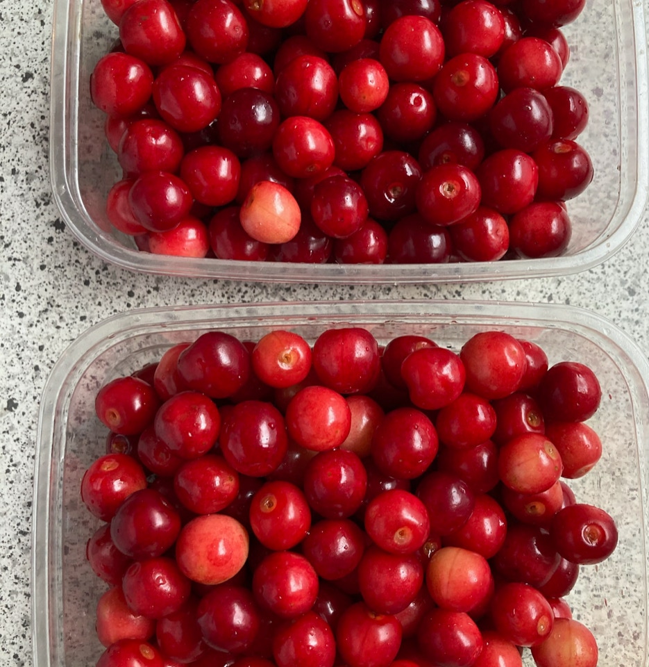 surkirsebaer sour cherries