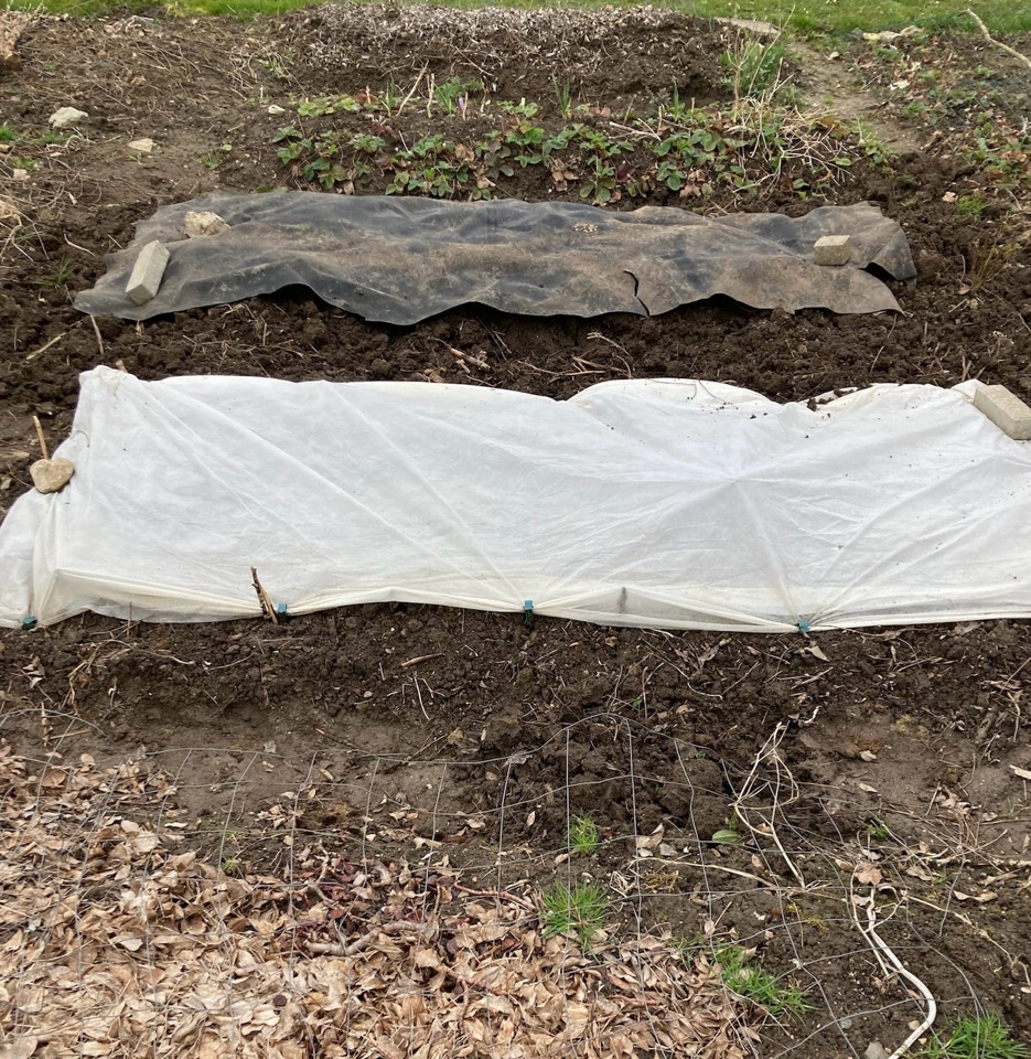 hoejbede aised bed April 2024