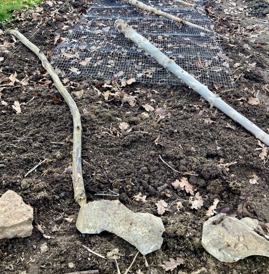 Organic Carrot bed - Органічна морквяна грядка 