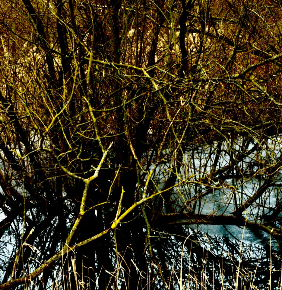 Pil i sump willow moor