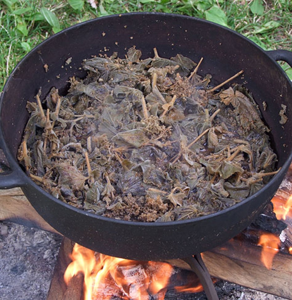 Plantefarvning Frederikssund Vikingemarked