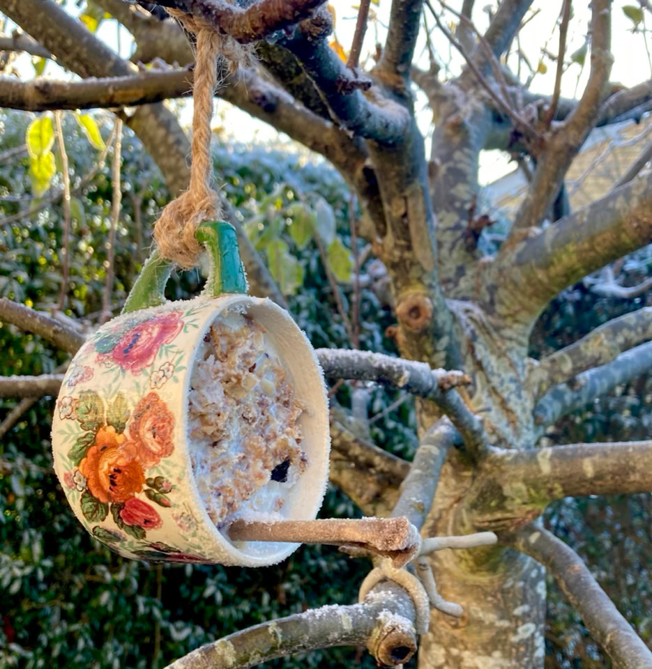 Bird feeder cup - Годівниця для птахів