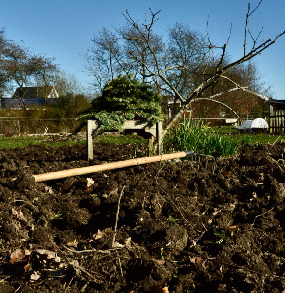 Kultiveret jord Prepared soil 