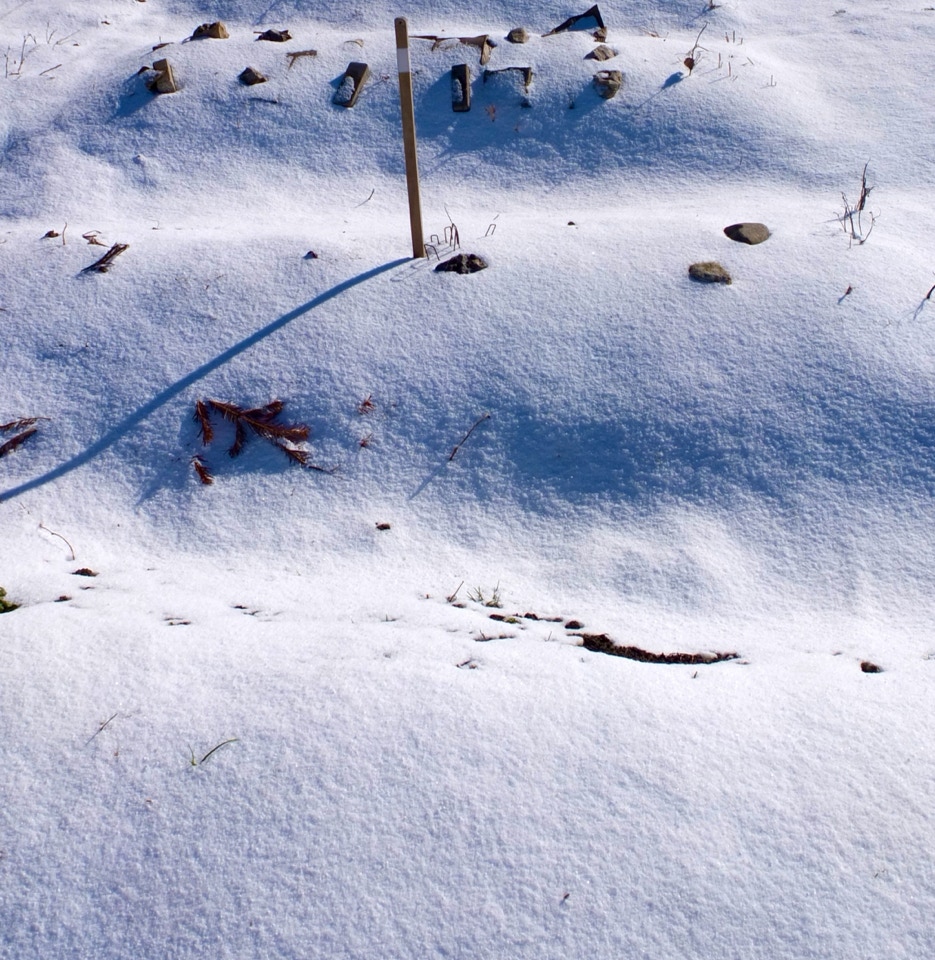 Hoejbede sne vinter raised beds winter