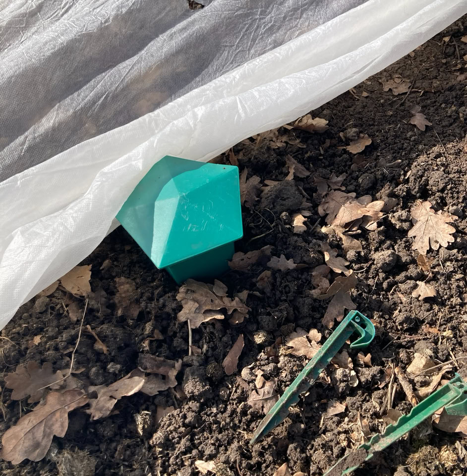 Organic Slug trap - Пастка для слимаків