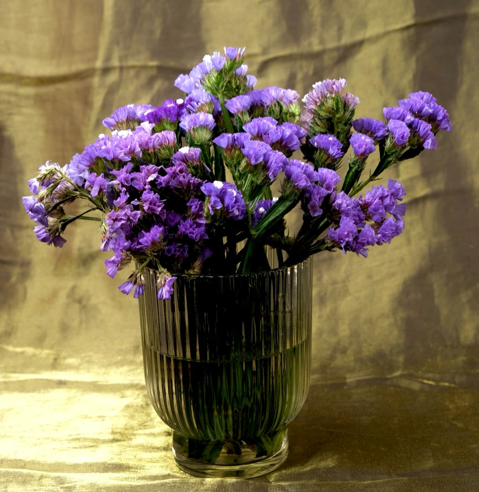 Limonium flowers - Квіти лімоніума