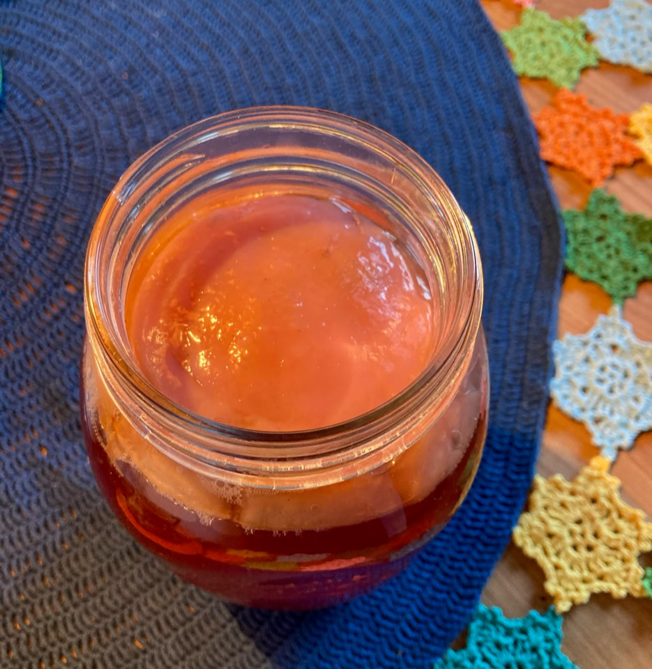 Kombucha hibiscus - Гібіскус комбуча