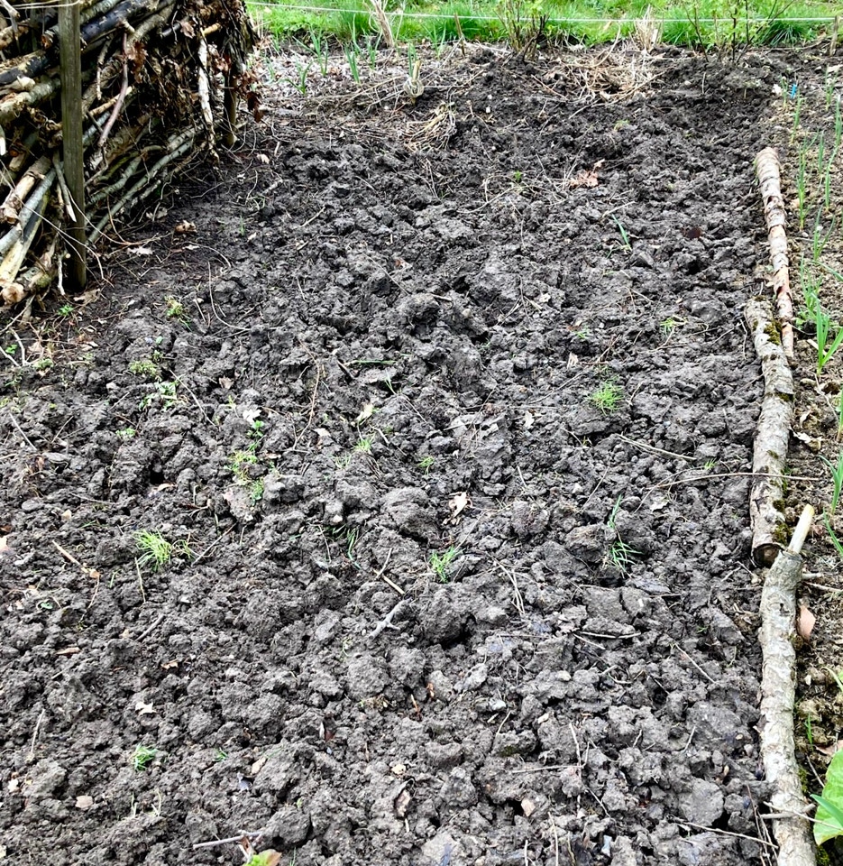 organic clay soil jordstykke lerjord April 2024