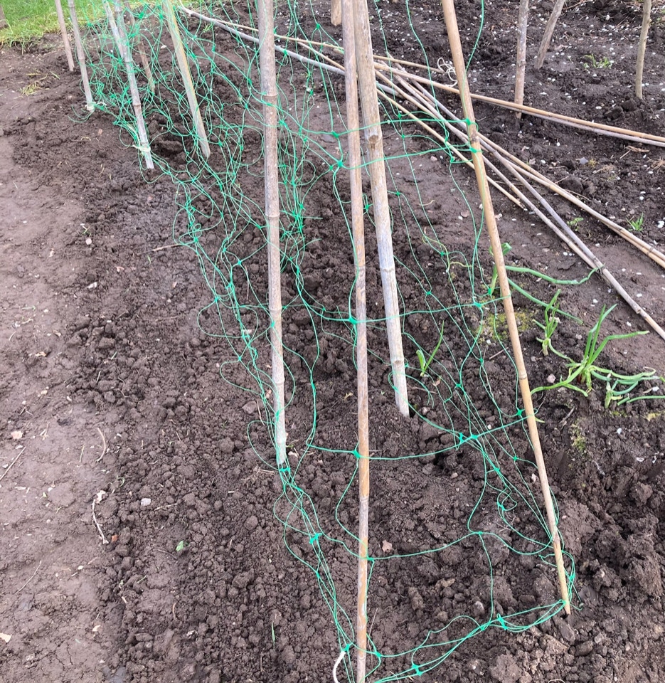 oeko have organic garden