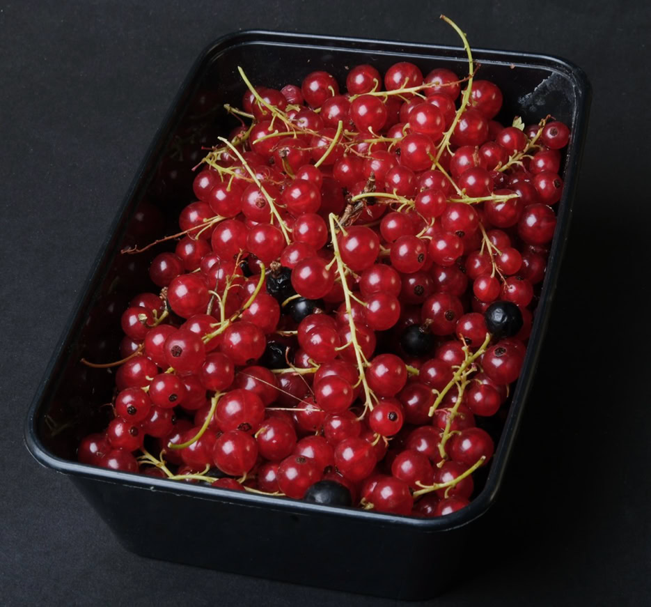 Red and black currants - Смородина та чорна смородина