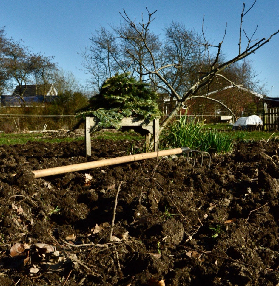 Kultiveret jord Prepared soil 