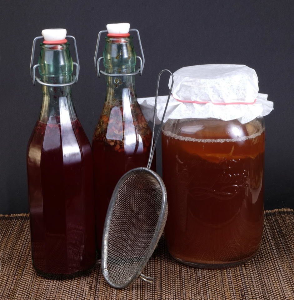 Kombucha - Комбуча