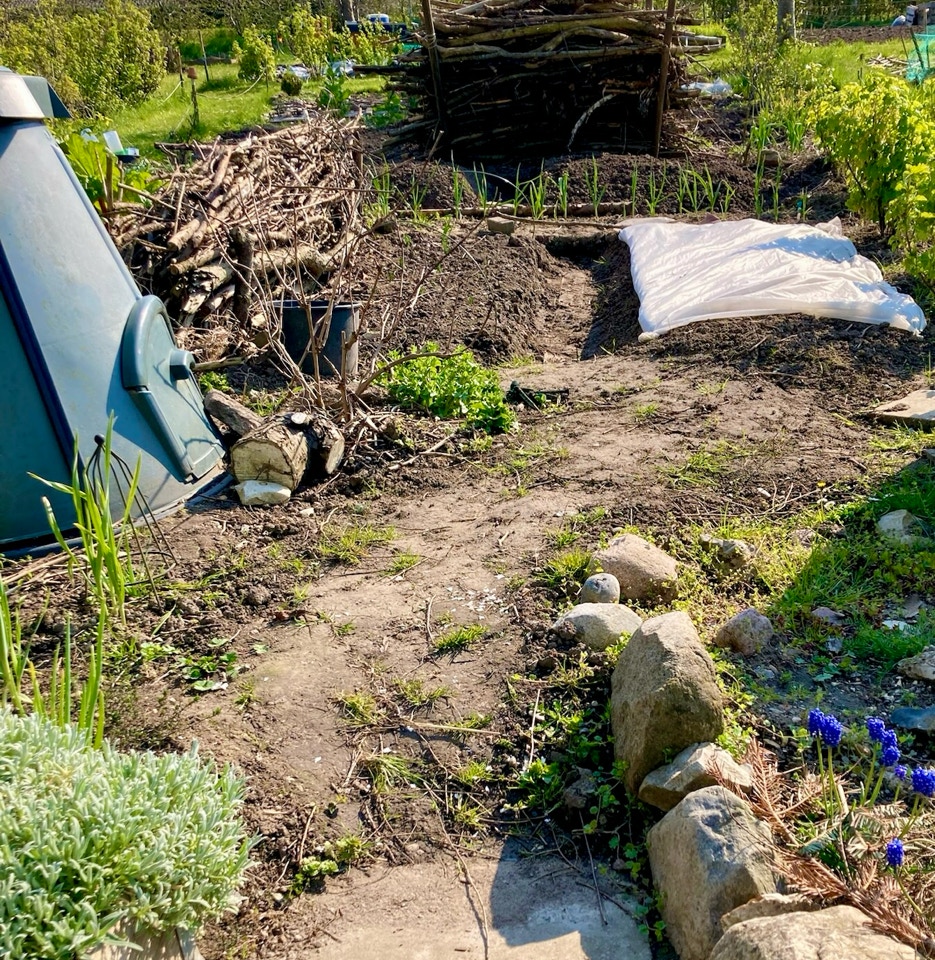 Insekthegn wild hedges raised beds