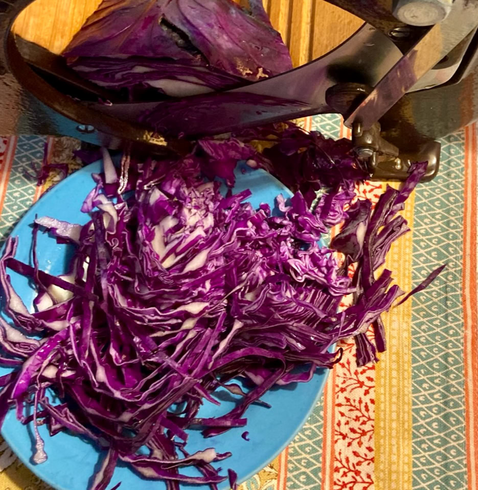 Червонокачанна капуста