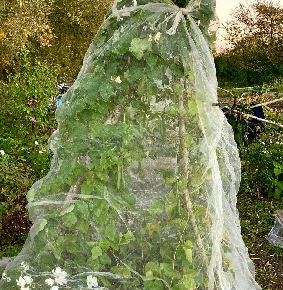 Daekke mod frost cover