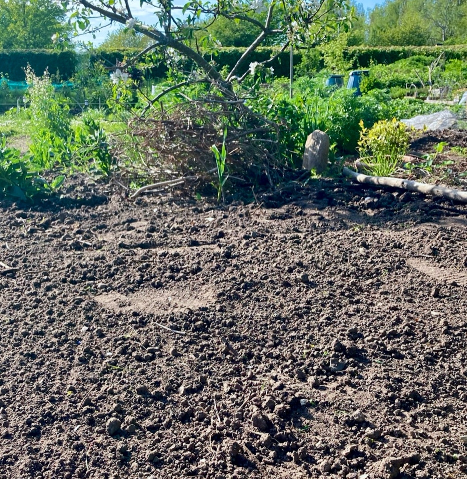 Ukraine garden organic øko 